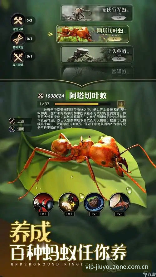 九游娱乐游戏平台 九游娱乐游戏平台选型指南:从新手到高手的完整使用策略